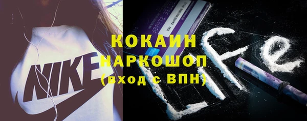 индика Лиски