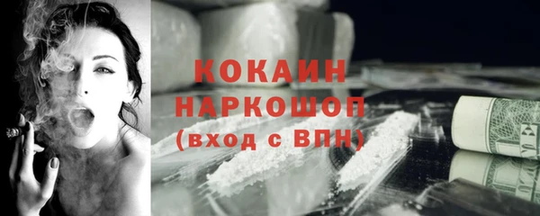 тгк Ладушкин